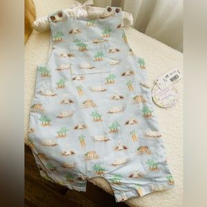 Easter Bunny Infant Boys Shortall